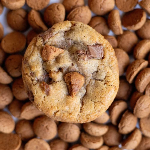 IMG_7918 Koekje met smaak van de maand november: pepernoot.